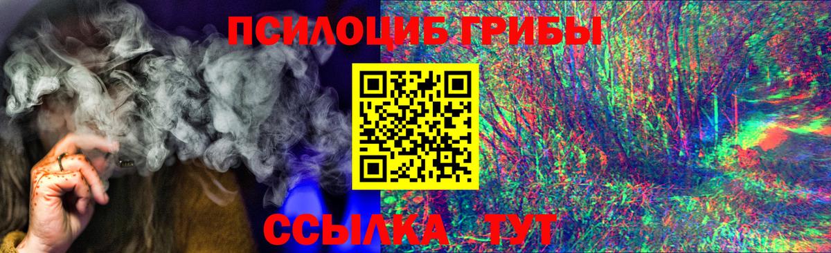 Псилоцибиновые грибы Psilocybine cubensis Карабулак