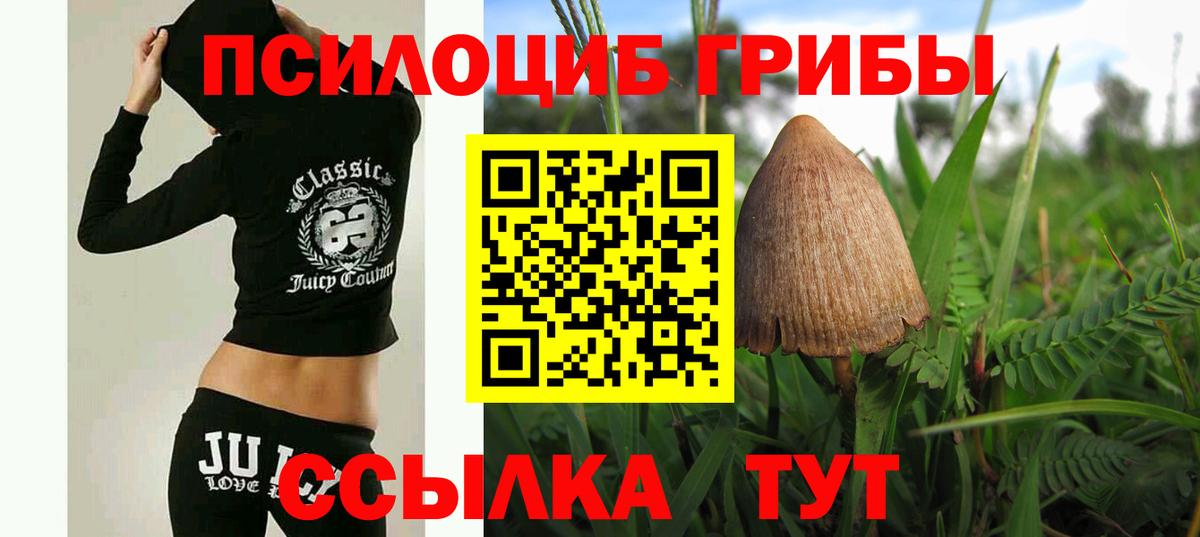 Карабулак  Псилоцибиновые грибы мицелий  Вход с VPN 